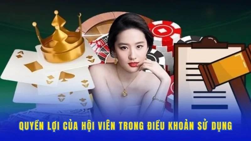 Quyền lợi của hội viên trong điều khoản sử dụng B24CLUB