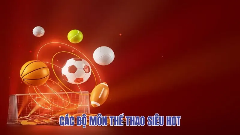 Các bộ môn thể thao siêu hot