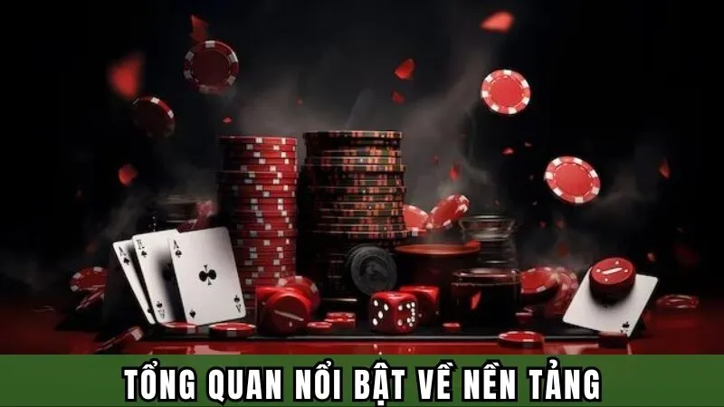 Tổng quan nổi bật về nền tảng