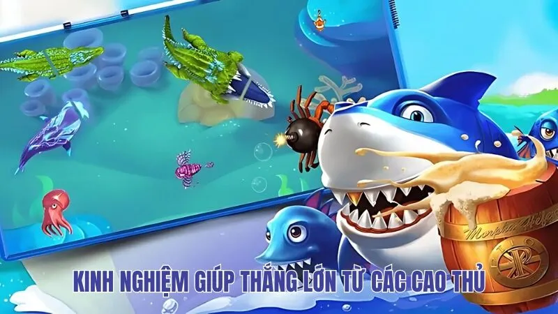 Kinh nghiệm giúp thắng lớn từ các cao thủ